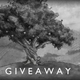 Illustration for article titled TAY Giveaway! iThe Bridge/i